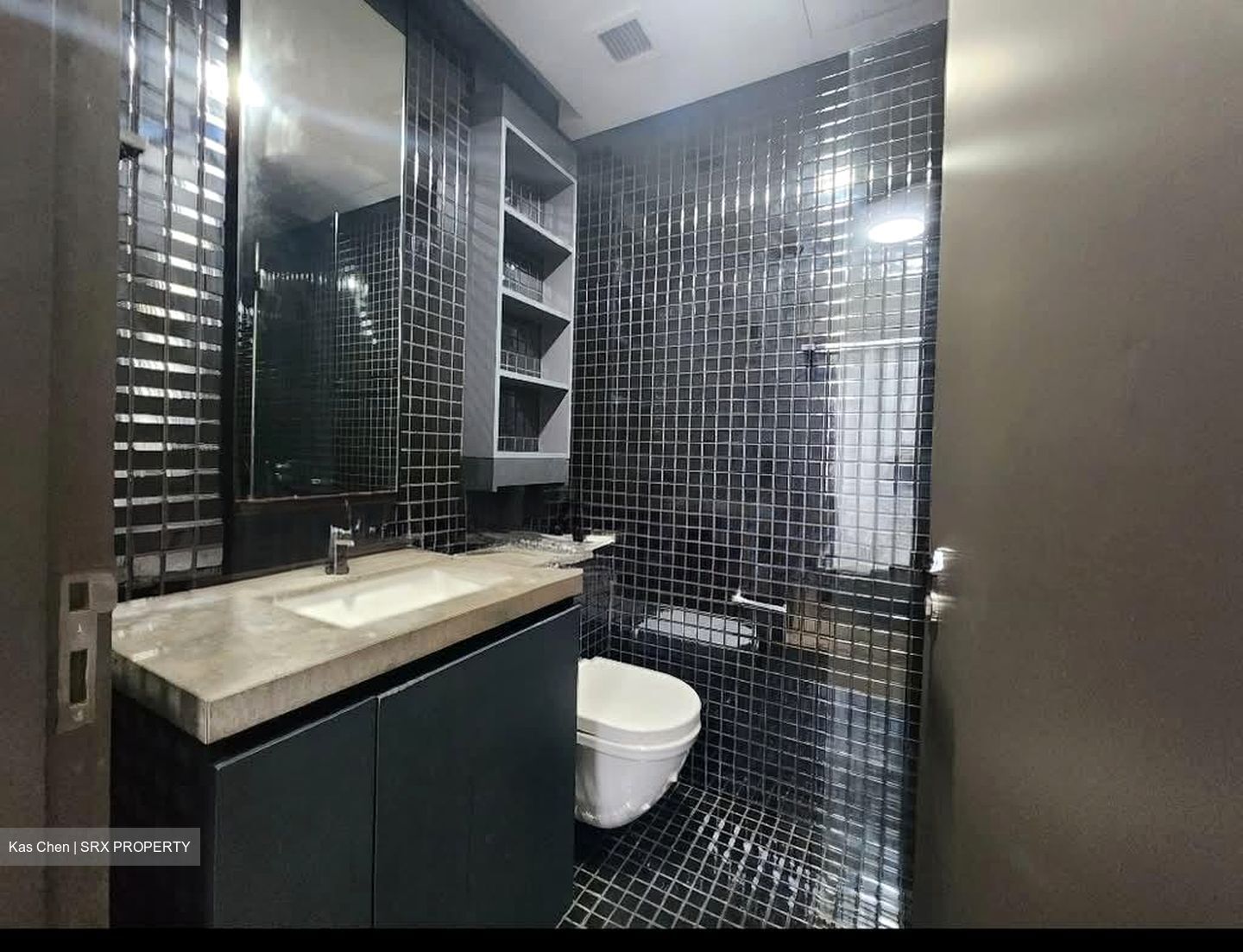 Skysuites@Anson (D2), Apartment #538124331